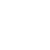 Image is of a white pie chart icon representing Information Reporting.
